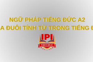 Ngữ pháp tiếng Đức A2 - Chia đuôi tính từ trong tiếng Đức